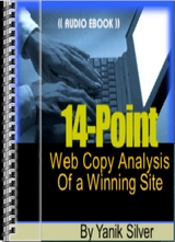 14-point web copy analysis